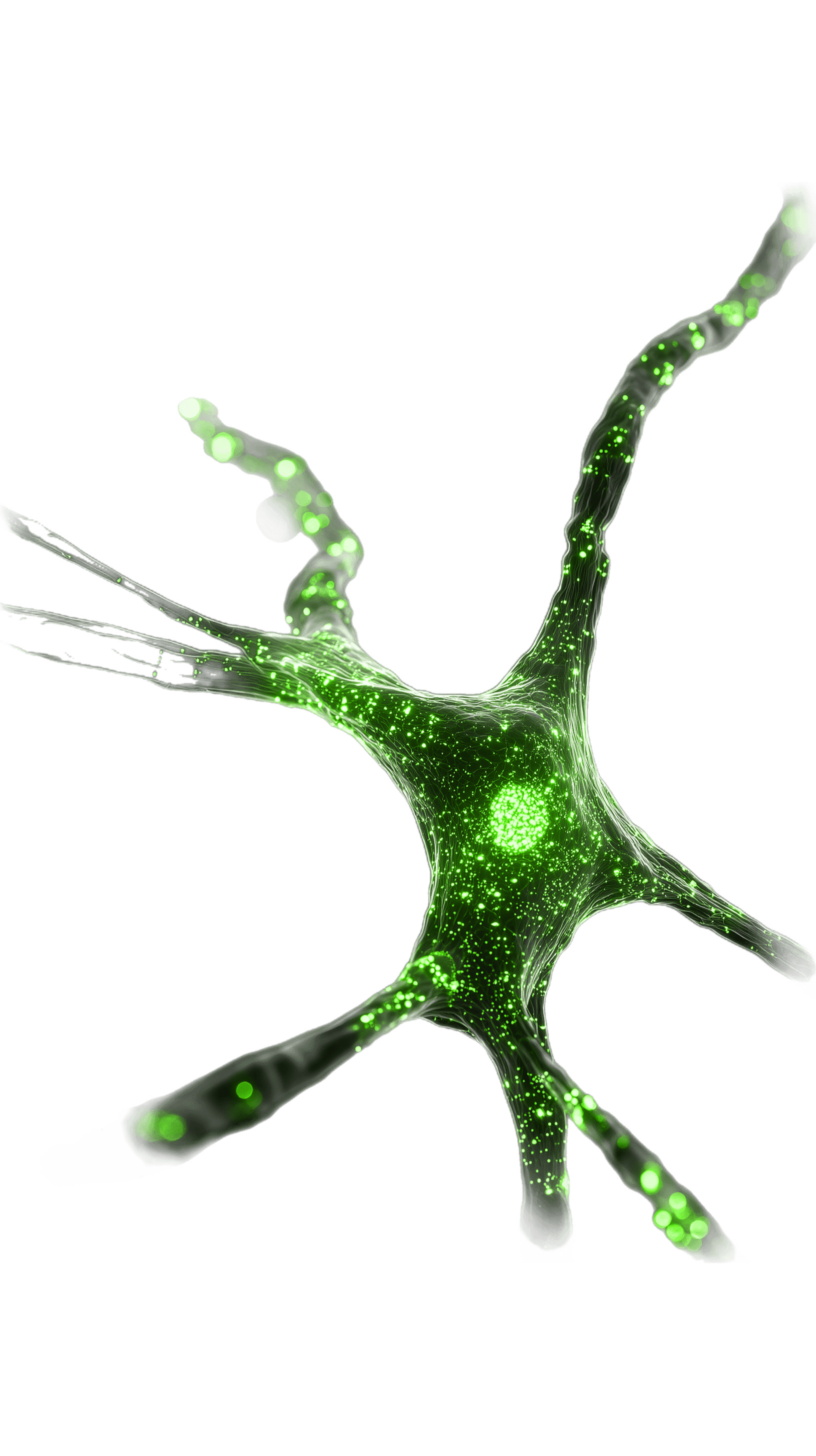 CarrierOS neuron artwork from the client website